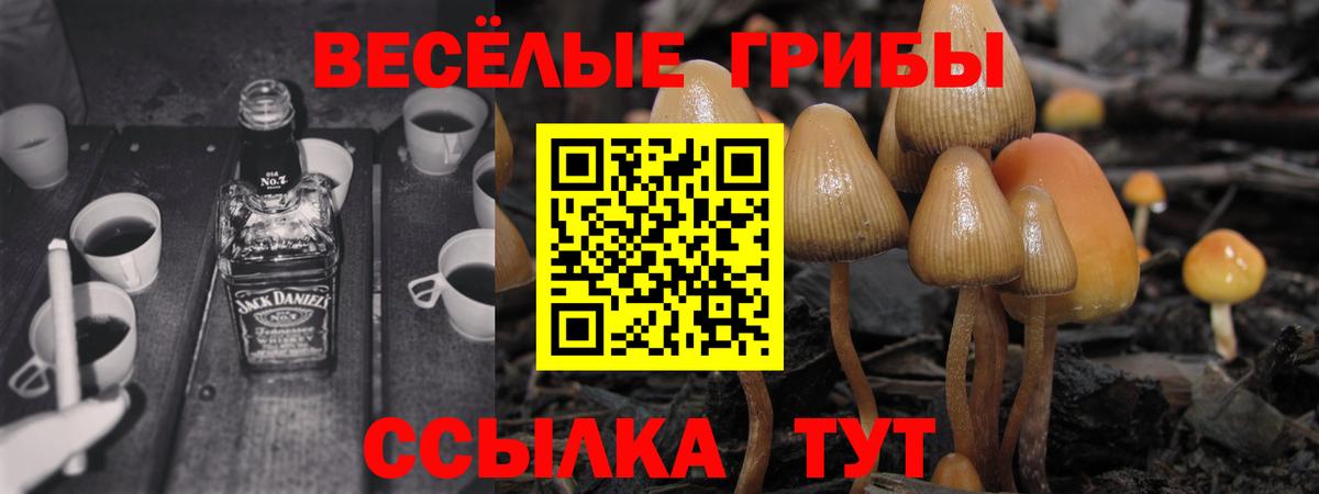 Псилоцибиновые грибы мухоморы Ступино